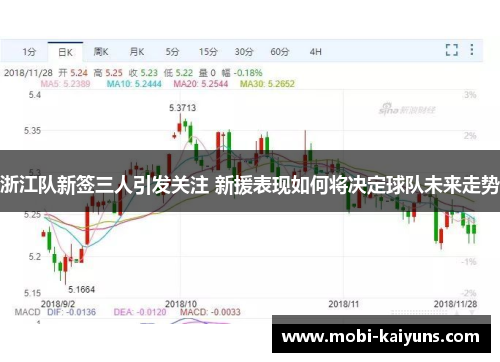 浙江队新签三人引发关注 新援表现如何将决定球队未来走势