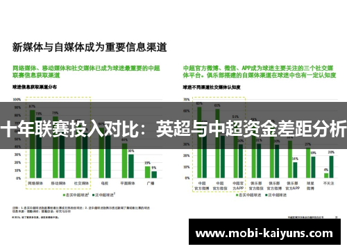 十年联赛投入对比：英超与中超资金差距分析